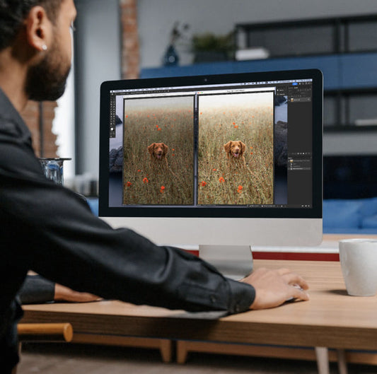 What Is Professional Color Correction?
