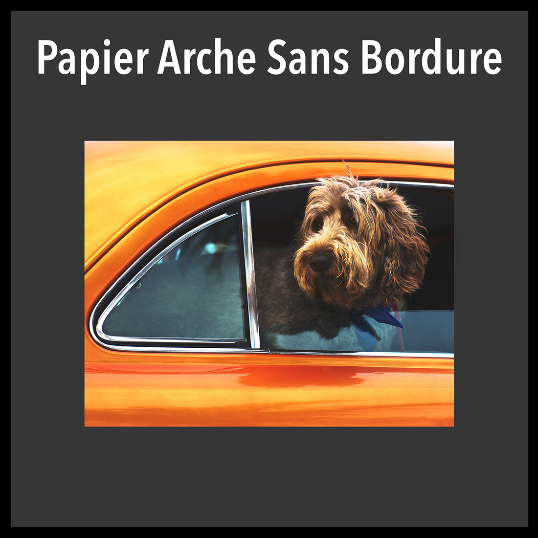 Papier arche sans bordure