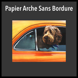 French Version