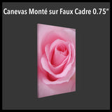 French Version