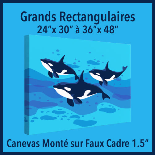 Grand Canevas Monté sur Faux Cadre 1.5
