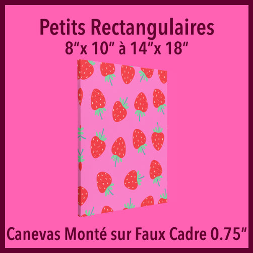 Petit Canevas Monté sur Faux Cadre 0.75