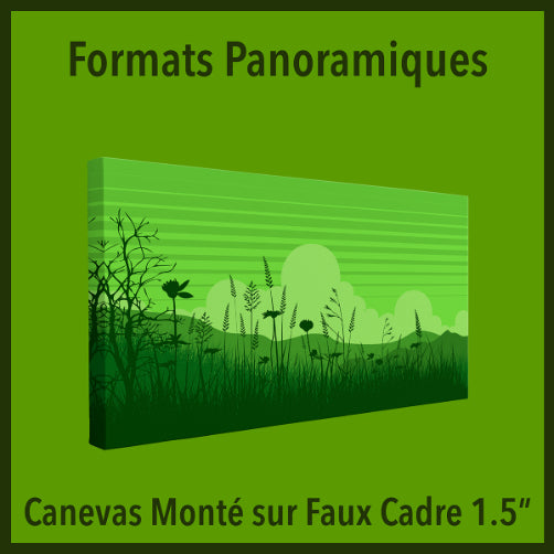 Canevas Monté Panoramique sur Faux Cadre 1.5