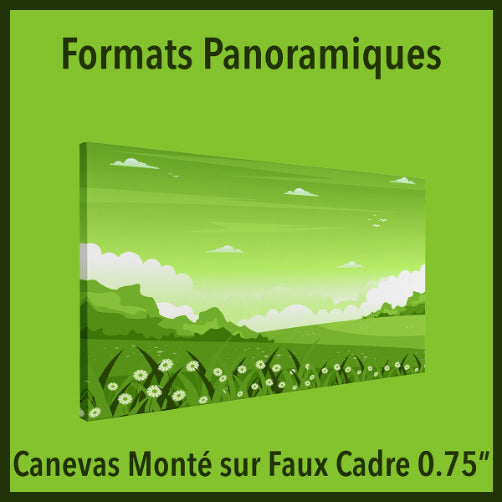 Canevas Monté Panoramique sur Faux Cadre 0.75