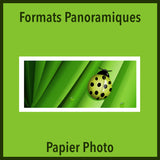 French Version