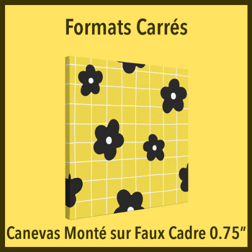 Canevas Monté Carré sur Faux Cadre 0.75