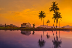Test Product